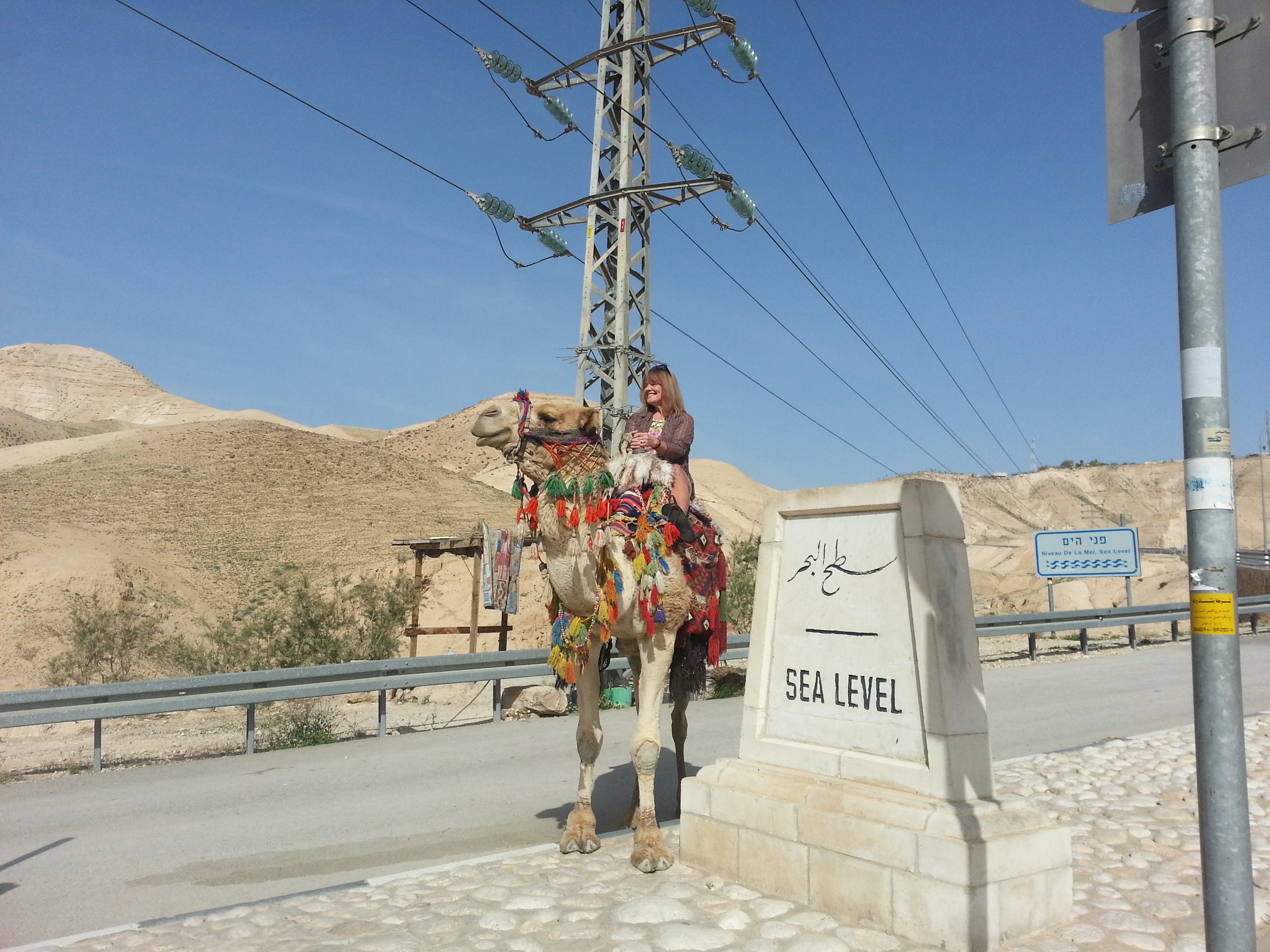 Camel riding near the Dead Sea